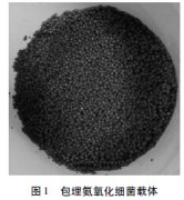 合成氨工業(yè)廢水如何處理 合成氨工業(yè)廢水如何處理